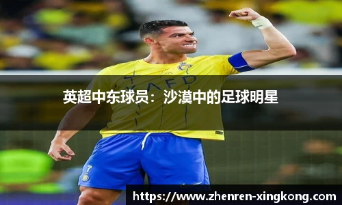 英超中东球员：沙漠中的足球明星